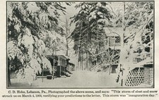 Lebanon PA March 4, 1909 Snow Storm Blizzard Residences C.D. Hoke Photo Print  picture