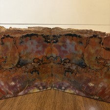Arizona Rainbow Petrified Wood Bookends Bookmatched Pair Large Polished Fossil picture
