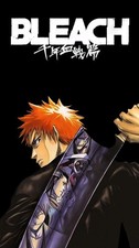 Bleach Poster 9.5x17 Inches Ichigo Zampakuto Captain Anime Illustrated Print picture