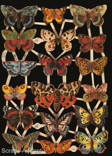 German Embossed Vintage Style Scrap Die Cut - Colorful Butterfly Moth  EF7221 picture