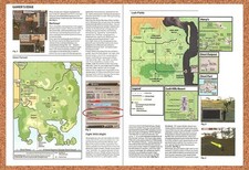 2001 Anarchy Online Omni Forest & Lush Fields Map Original Ad / Promo vr1 picture