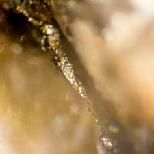 Pellyite:Cat Head Mtn.Big Creek,Rush Creek Mining Dist. Fresno Co. CA-MIcromount picture