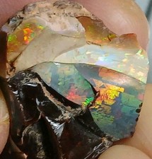 BIG 58ct Ethiopian Chocolate Shewa Opal  Rough ~ Multicolored Flash picture