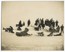 Rare Antique Photo Nome Alaska Expedition Party with Sled Dogs / North Pole picture