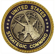 Vanguard IDENTIFICATION BADGE: STRATEGIC COMMAND picture