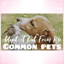 🌸 AĐ0PT (All Stuff FRM M3) Today 🌸 🌟Common🌟 🖤 FR 💜 F 💚 R 🩵 NP 💖 picture