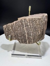 Northern Arizona Petrified Wood with Druzy Quartz .77 LBS with Stand picture