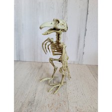 Halloween mini bird skeleton parrot prop unique home decor dead figure picture