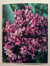 Service custom Print stickers of your pictures images photos glossy 8.5