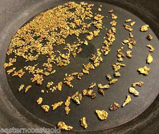 Buy our best rich GOLD paydirt concentrates by the 1/2 pound | Bullion Nugget picture