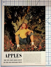 Vintage 1950s LIFE Magazine Article Apple Industry Orchard Farming Virginia picture