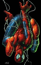 AMAZING SPIDER-MAN #30 JOHNNY DESJARDINS AQ BLACKOUT VARIANT picture