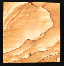 wOw BIG PICTURE Stone or SANDSTONE Slice/Slab with Display Stand Utah 1066gr picture