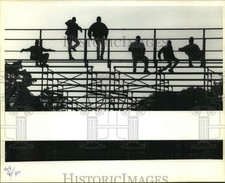 1989 Press Photo Group of fans listen to band play at Pan American Stadium picture