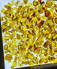 Random set of Burmite inclusion amber for collectors [10 pieces] picture