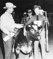 Glenn McCarthy millionaire oil man buys Mysie grand champion steer - 1949 Photo picture
