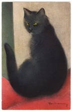 Black Cat With Green Eyes artist signed 1940s postcard picture