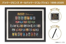Pokemon Pin Badge All Package Collection 1996-2025 Framed Art Japan Official F/S picture