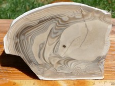 TCR Polish Flint *Rough Slab 174g  – Rare Natural Orb Pattern | Poland picture
