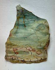 Gary Green Jasper Larsonite 168gm Lapidary Slab picture