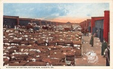 GA~GEORGIA~AUGUSTA~BLOCKADE OF COTTON ON COTTON ROW~C.1920 picture