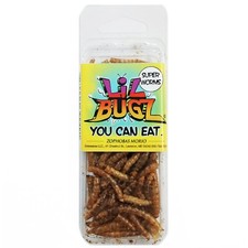 SUPER WORMS Lil Bugz edible insects bred for human consumption picture