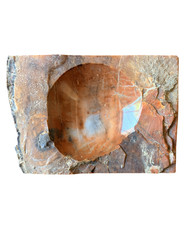 Arizona Rainbow Petrified Wood Slab 1.5 lb Polished Agatized Fossil Display 225M picture