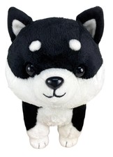 Japanese Black Shiba Inu 10