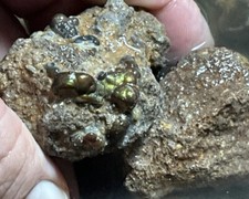 1/4 Pound Fire Agate Choice & Mid Grade Professionally Chosen Colorful Rough Lot picture