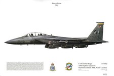 Squadron Print 336 F15E Strike Eagle 336TFS USAF Seymour-Johnson Aviation Art picture
