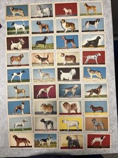 Set 1956 Quaker cereals Challenge Of The yukon Dog Cards. Lot Of 36 picture