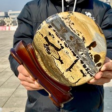 2.5LB Rare National Treasure Fossil - Authentic Collectible Stone Specimen picture