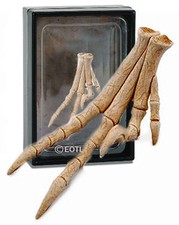 NEW CollectA 89285 Velociraptor Dinosaur Foot 8cm MODEL - display box picture