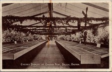 1909 Cherry Fair Salem Oregon Postcard - Cherry Display Greenhouse RPPC picture