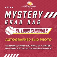 Mystery Grab Bag - St. Louis Cardinals MLB 8x10 Autographed Photo picture