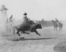 COWBOY Jesse Stahl on Sharkey the Bull, Rodeo, Black Man, Vintage Photo Reprint picture