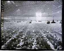General View of 1955 AFL-CIO Convention 1955 Old Photo - New York, NY: General v picture