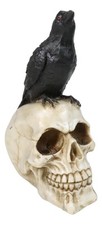 Myth and Legends Black Odin Raven Crow Perching On Skull Decorative Figurine picture