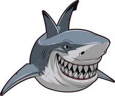 StickerTalk Great White Shark Vinyl Sticker, 6 inches by 5 inches picture