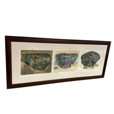 Vintage RARE Framed Disneyland 
