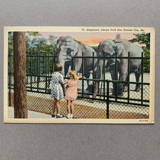 Elephants Swope Park Zoo Kansas City Missouri MO Children Posted 1941 Postcard picture