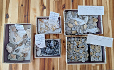 Vintage Mineral Specimen Dealer Lot 5 Box Flat Geodes Galena Calcite Druzy Tags picture