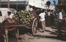 Port-of-Spain, Trinidad Tobago Coconut Vendor's Cart, downtown Port-of-Spain picture