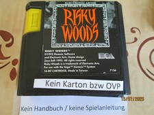Risky Woods Sega MD No Booklet No Cover Year 1992 Used picture
