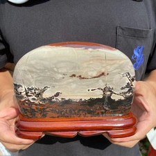 2.5lb Rare Natural Dendritic Limestone Chinese painting stone mineral specimen picture