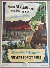 Rare 1949 Vintage Original Smokey Bear 18 x 26 Fire Prevention Paper Poster NOS picture