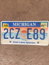 2001 Michigan “Great Lakes Splendor” License Plate - 2CZ E89 - Nice picture