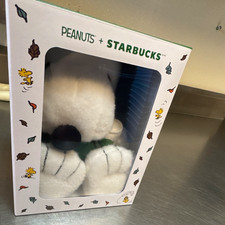 Starbucks Peanuts Snoopy & Woodstock Plush, Boxed, Green Scarf, 2026 picture