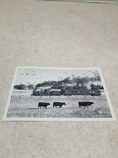Sierra Railroad Locomotive, Railtown 1897, Jamestown, California CA Postcard  picture