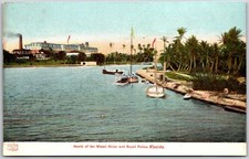 Mount of the Miami River in Royal Palms Florida FL Boats Palms Building Postcard picture